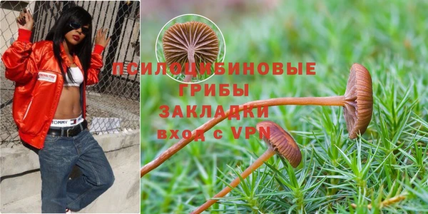 амф Абинск