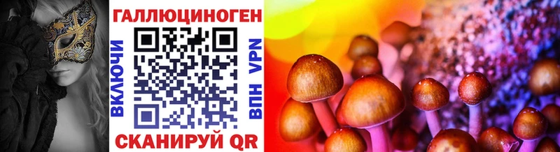 хочу Богородицк Псилоцибиновые грибы MAGIC MUSHROOMS